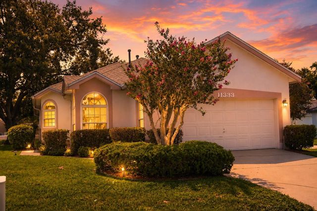 11333 PINK BLOSSOM COURT, Orlando, FL 32821