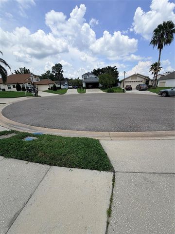11333 PINK BLOSSOM COURT, Orlando, FL 32821