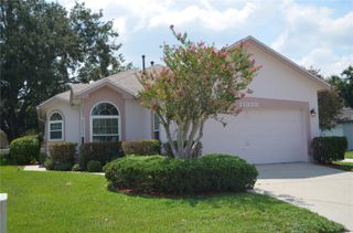 11333 PINK BLOSSOM COURT, Orlando, FL 32821