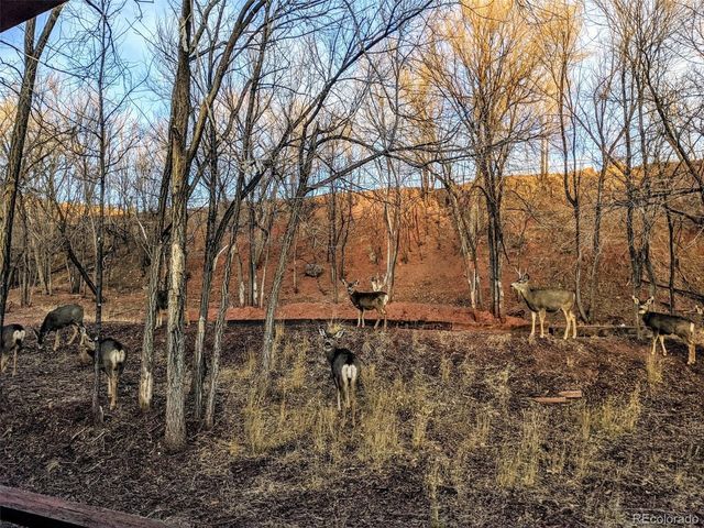 344 Plainview Pl, Manitou Springs, CO 80829