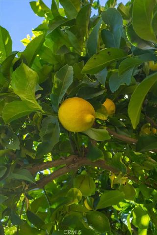 36108 Lipizzan Lane, Wildomar, CA 92595