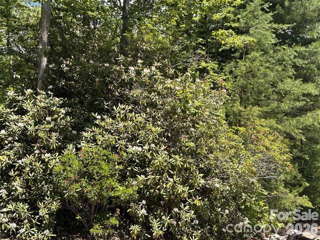 66 Boone Cove Road, Zirconia, NC 28790
