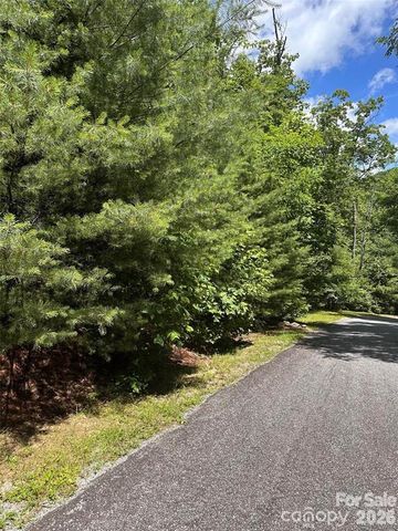 66 Boone Cove Road, Zirconia, NC 28790
