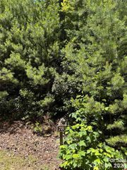 66 Boone Cove Road, Zirconia, NC 28790