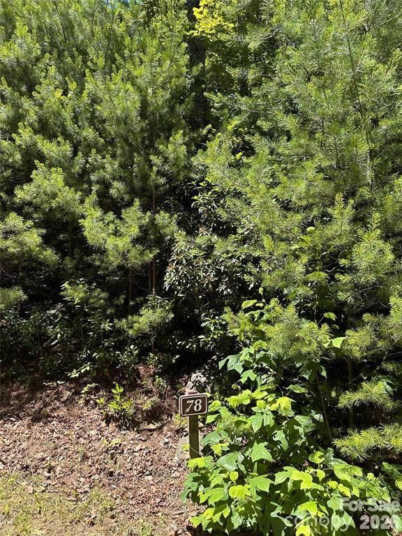 66 Boone Cove Road, Zirconia, NC 28790
