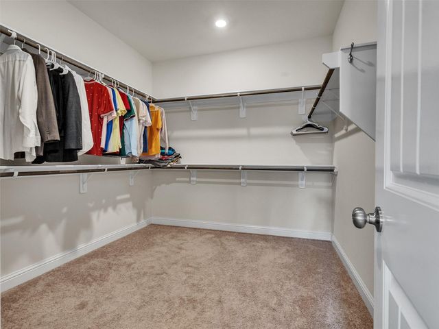 19115 Blooms Rise Drive, Tomball, TX 77377