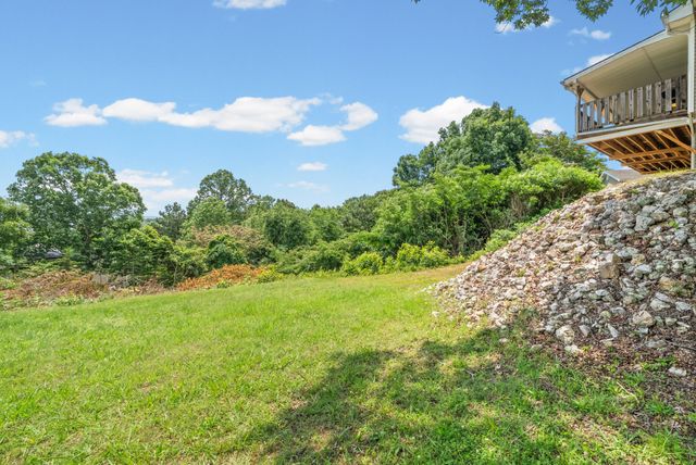 1060 Cypress Rd, Buchanan, TN 38222