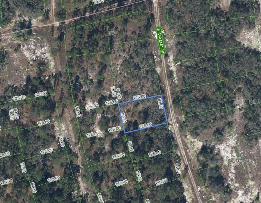218 ISLAND MIST DRIVE, Lake Placid, FL 33852