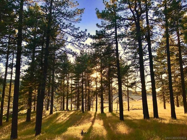 Victoria Drive, Alpine, CA 91901