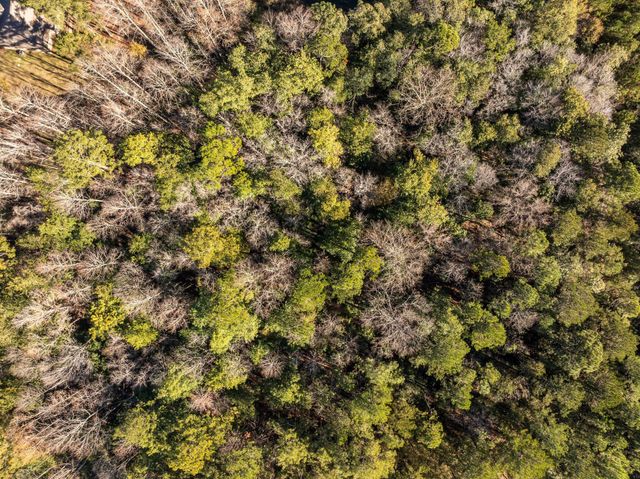 00 Arthur Lucas, Sumrall, MS 39482