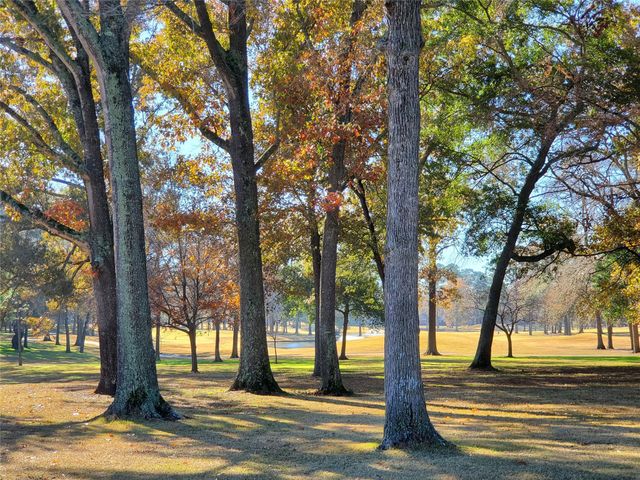 12900 Walden Road 312C, Montgomery, TX 77356
