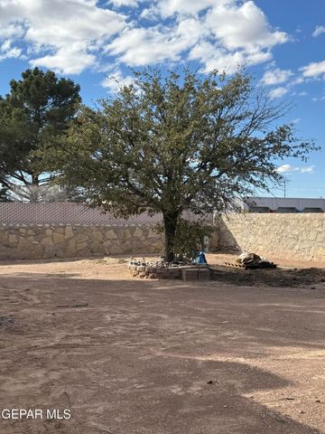 15327 WOODHILL Court, Horizon City, TX 79928