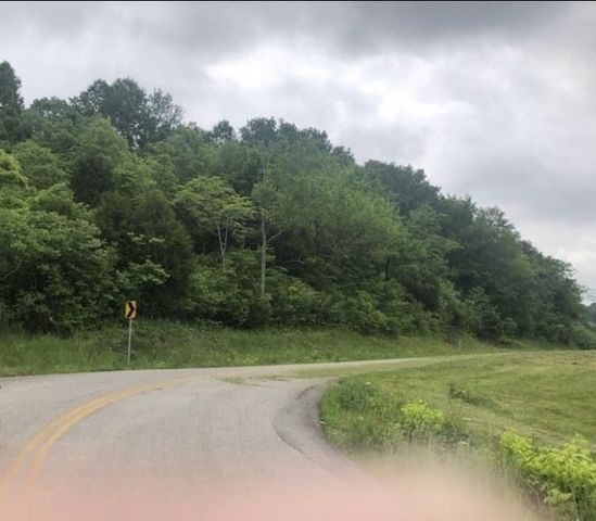 0 Johnson Hill Rd, Mount Pleasant, TN 38474