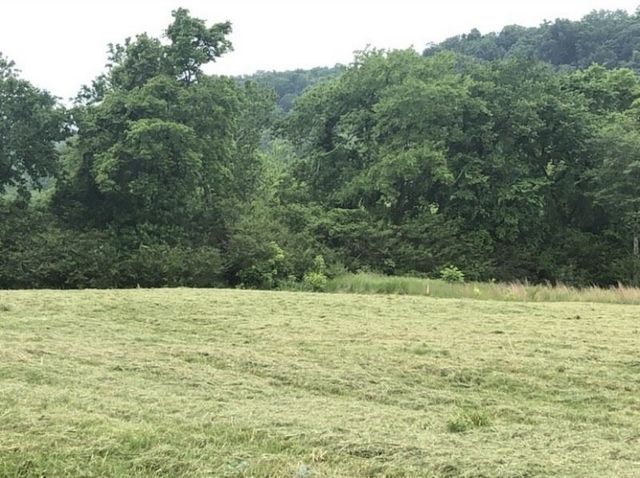 0 Johnson Hill Rd, Mount Pleasant, TN 38474