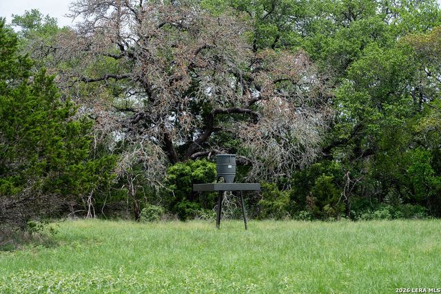 426 MILL RUN, New Braunfels, TX 78132