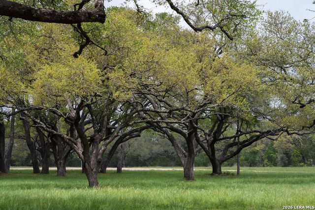 426 MILL RUN, New Braunfels, TX 78132