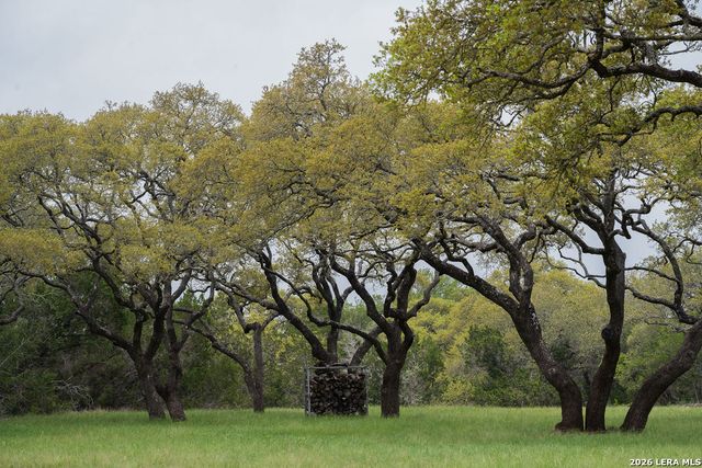 426 MILL RUN, New Braunfels, TX 78132