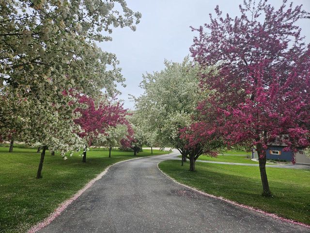 W6641 Briar RUN, Plymouth, WI 53073