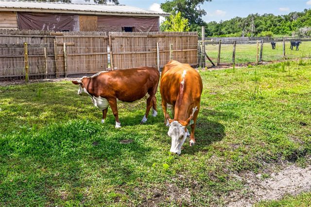 5702 TINDALE ROAD, Plant City, FL 33565