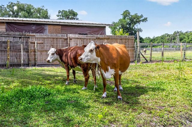 5702 TINDALE ROAD, Plant City, FL 33565