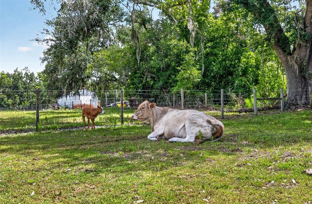 5702 TINDALE ROAD, Plant City, FL 33565