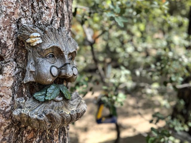 25840 Scenic Drive, Idyllwild, CA 92549