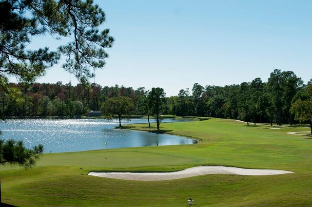 98 W Knightsbridge Drive, The Woodlands, TX 77385