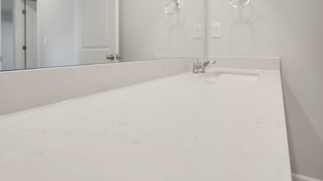 4063 Amelia Lane, White House, TN 37188