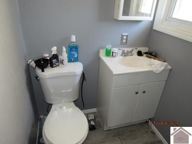 155 DeAnne, Ledbetter, KY 42058