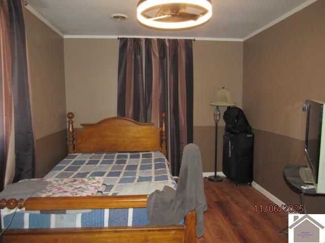 155 DeAnne, Ledbetter, KY 42058