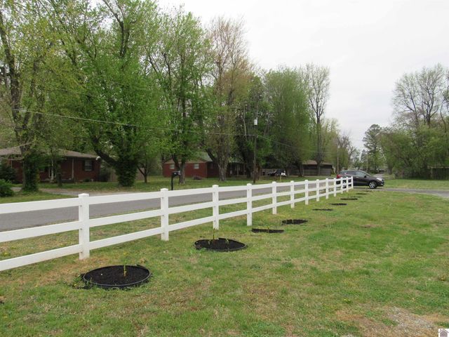 155 DeAnne, Ledbetter, KY 42058