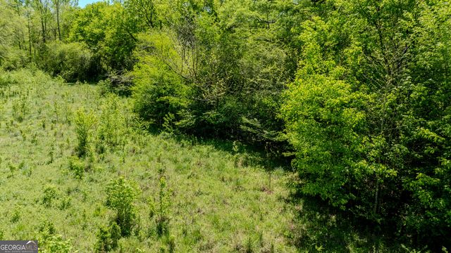 0 Mountain Creek Way, Newnan, GA 30263
