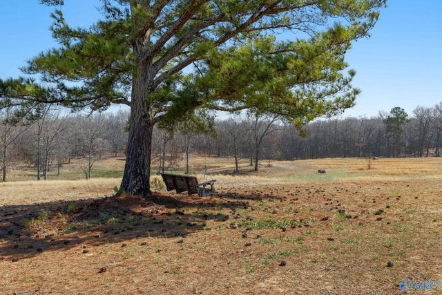 3242 County Road 11, Florence, AL 35633