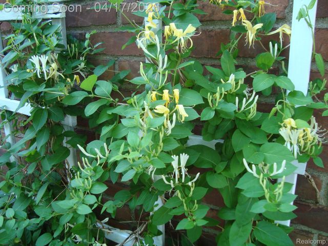 432 Kingsbury Avenue, Dearborn, MI 48128