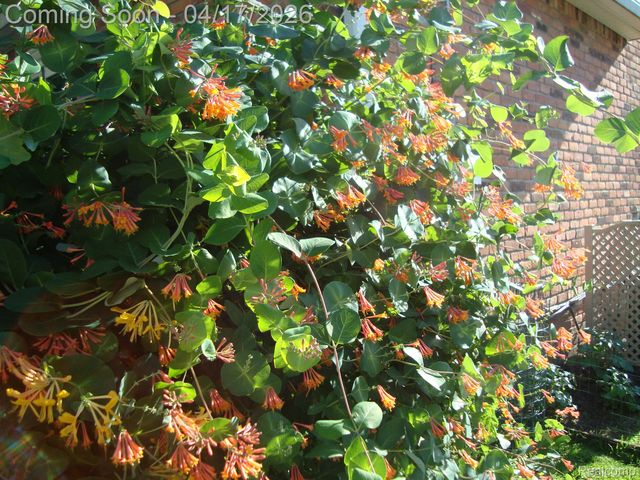 432 Kingsbury Avenue, Dearborn, MI 48128