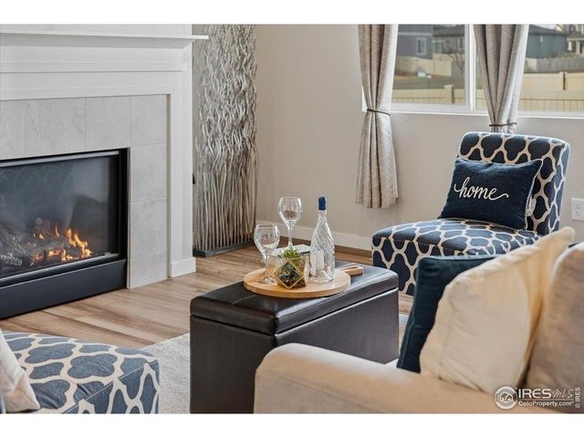 3804 Buckthorn St, Wellington, CO 80549