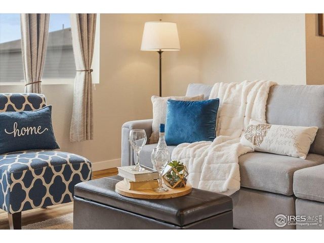 3804 Buckthorn St, Wellington, CO 80549