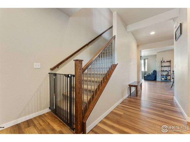 3804 Buckthorn St, Wellington, CO 80549