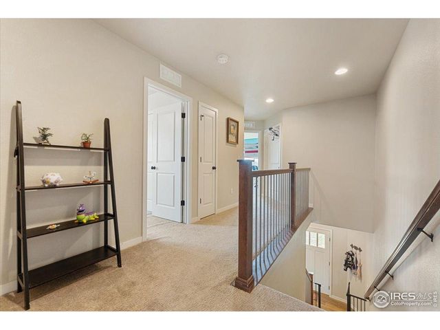 3804 Buckthorn St, Wellington, CO 80549