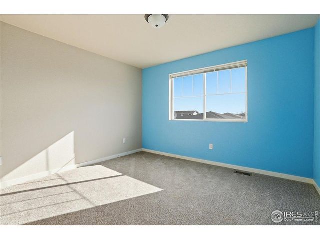 3804 Buckthorn St, Wellington, CO 80549