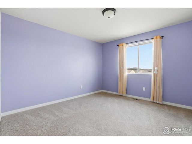 3804 Buckthorn St, Wellington, CO 80549