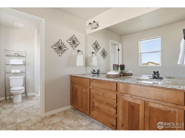 3804 Buckthorn St, Wellington, CO 80549