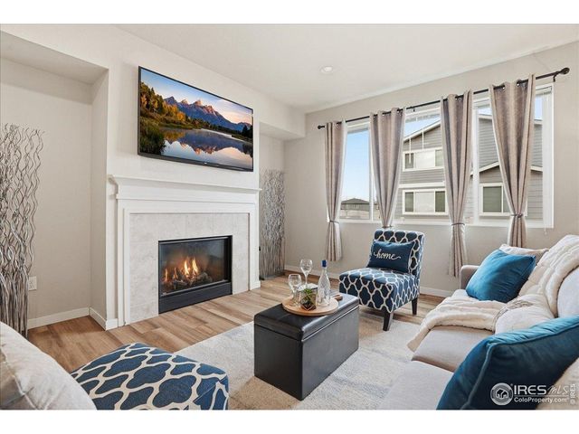 3804 Buckthorn St, Wellington, CO 80549