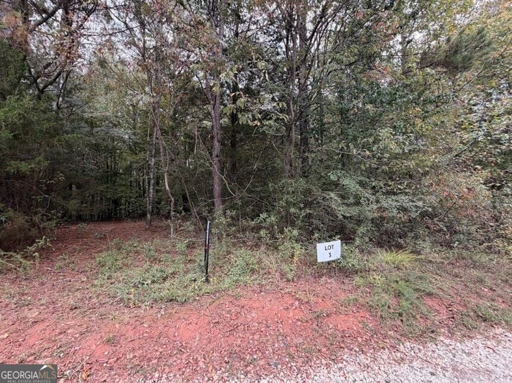 0 Lebanon Church Road TRACT 1, Jefferson, GA 30549 — photo 4