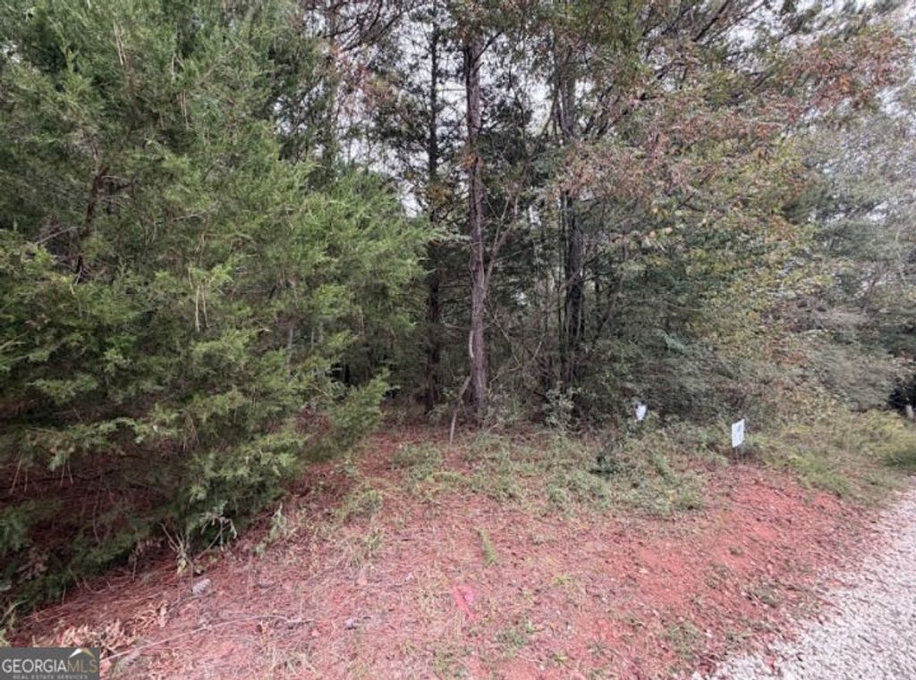 0 Lebanon Church Road TRACT 1, Jefferson, GA 30549 — photo 5