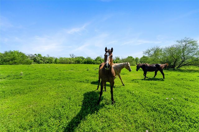 0 Fm 1161, Hungerford, TX 77448