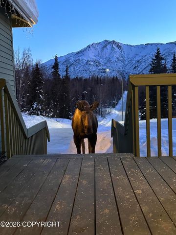 10948 Sun Eagle Circle, Eagle River, AK 99577
