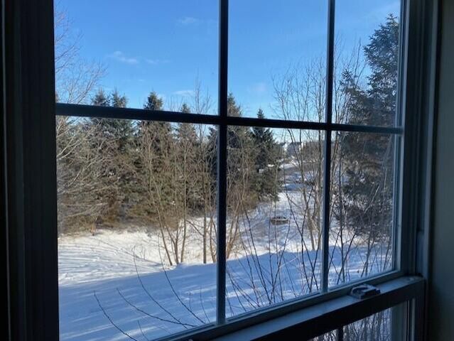 1056 Joyce Lane, Ann Arbor, MI 48103