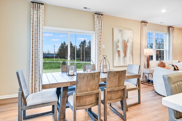 15009 S Darr Drive, Plainfield, IL 60544