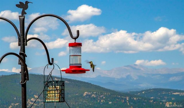 26427 Bell Park Drive, Evergreen, CO 80439